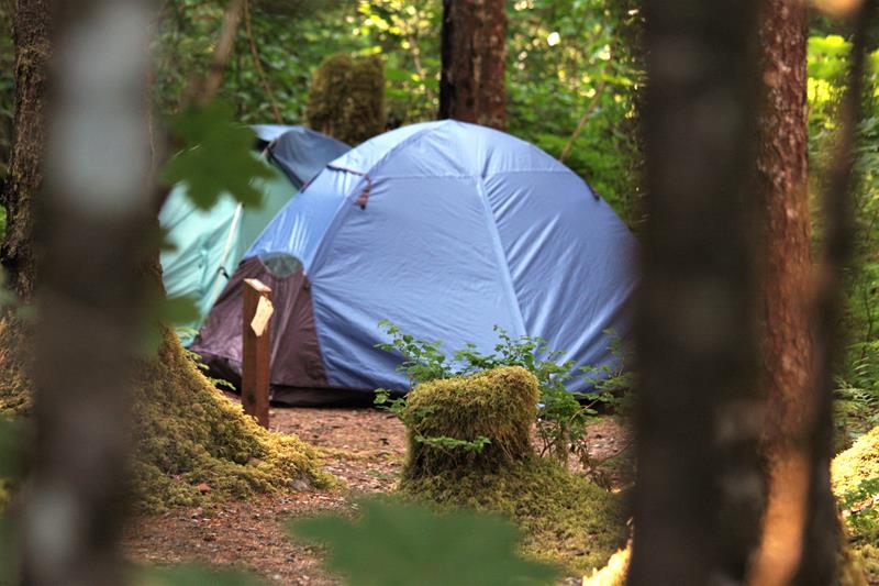 Camp at Bartlett Cove
