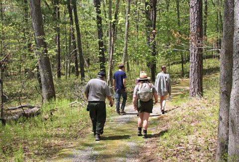 Park rangers and visitors walk on winding mossy trail through forest.