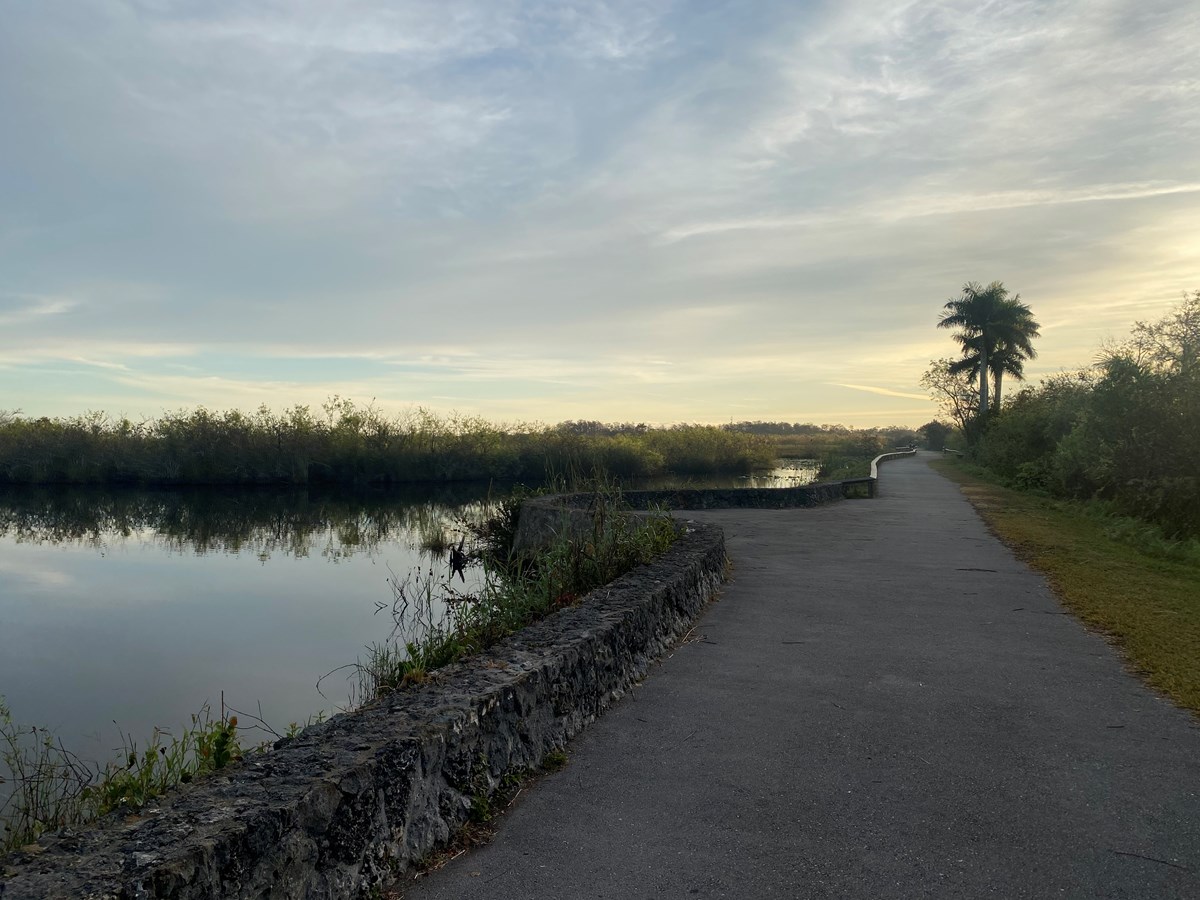 Paved trail beside still water with a palm tree silhouetted in the distance