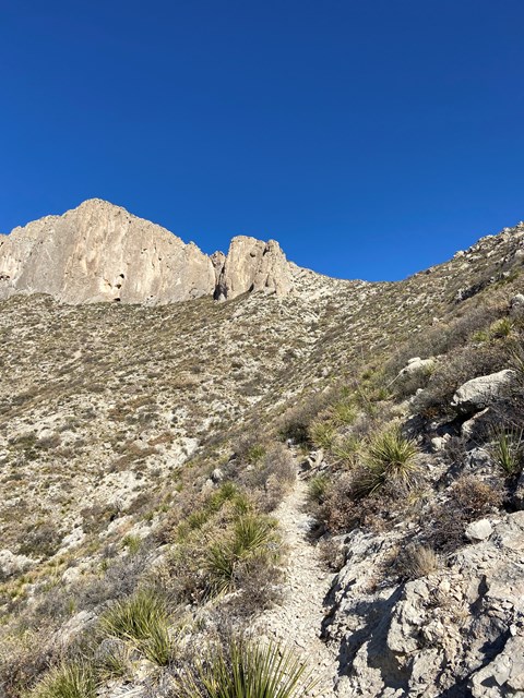 A stone trail winds up a steep desert slope.