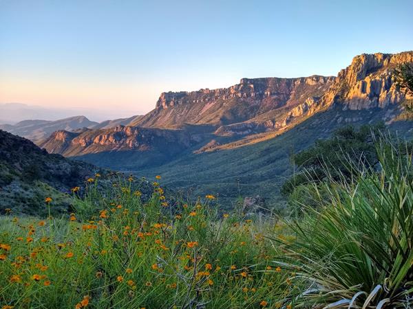 The views from a high saddle encompass a long canyon and the desert in the distance.