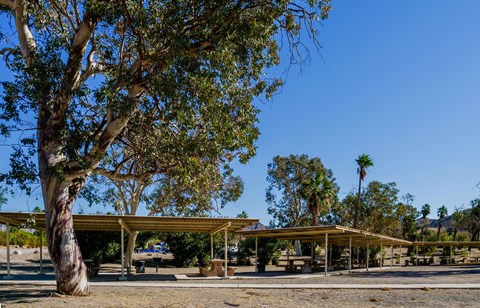 picnic shelter