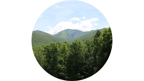 Carlos Campbell Overlook