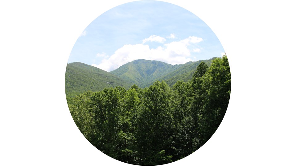A mountain view on a partly cloudy day with green trees in the foreground.