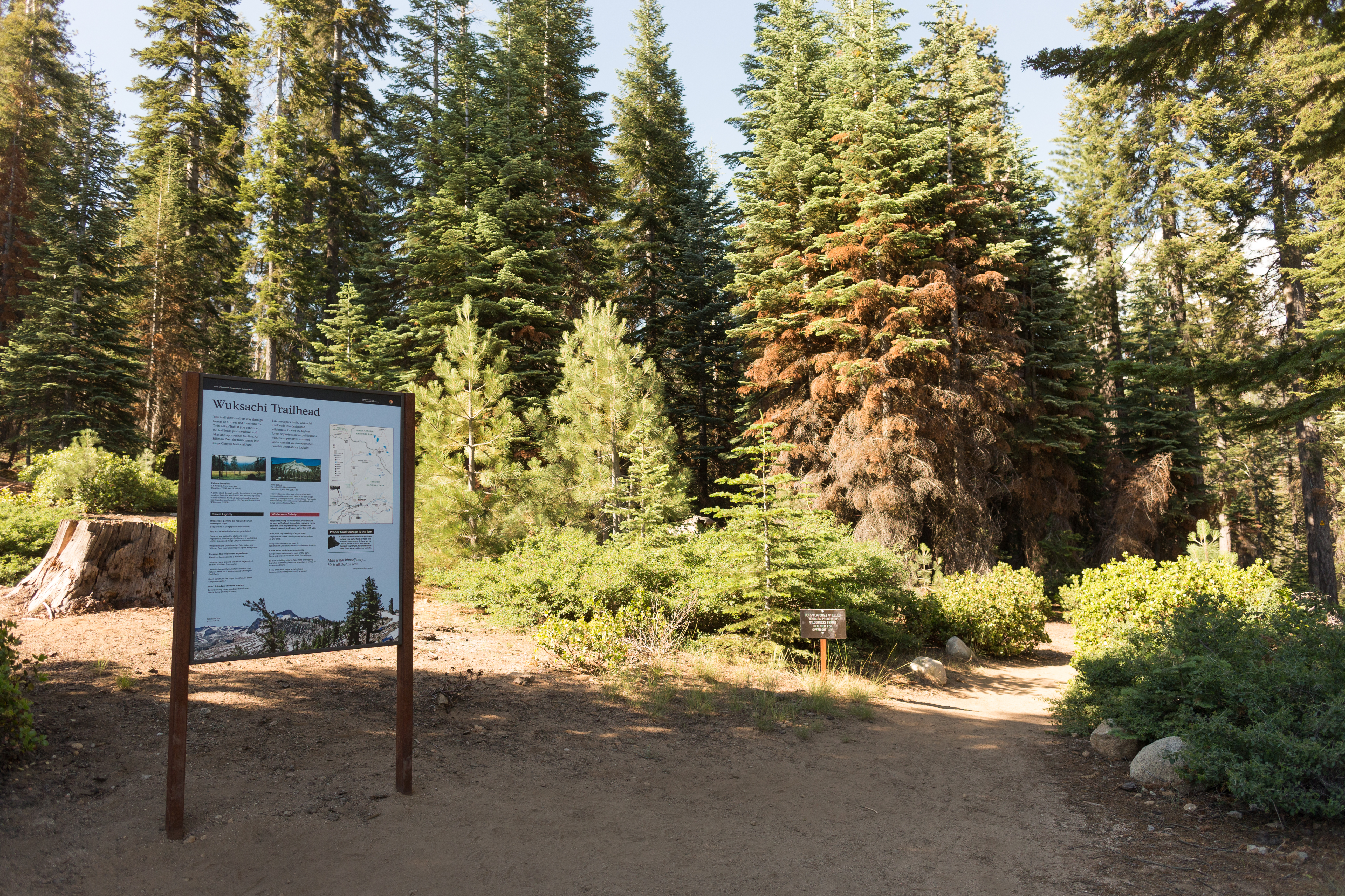 Wuksachi Trailhead