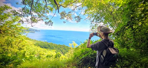 Outdoors; person holding binoculars looking out through greenery at blue waters in the distance.