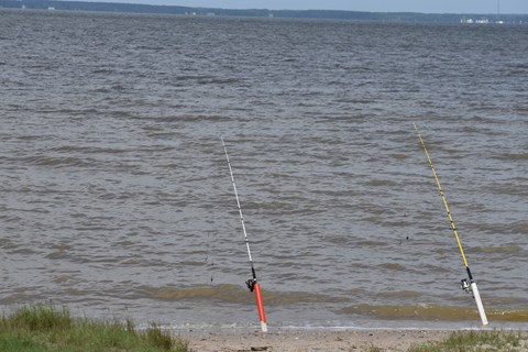 Two fishing rods with lines cast in water