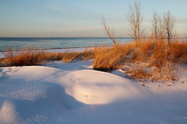 Snow covers the ground. Yellow blades of marram grass poke through.