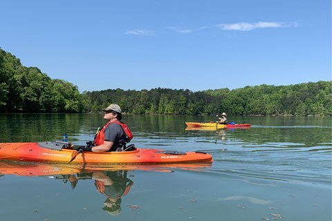 Two kayakers on the water on a sunny day.