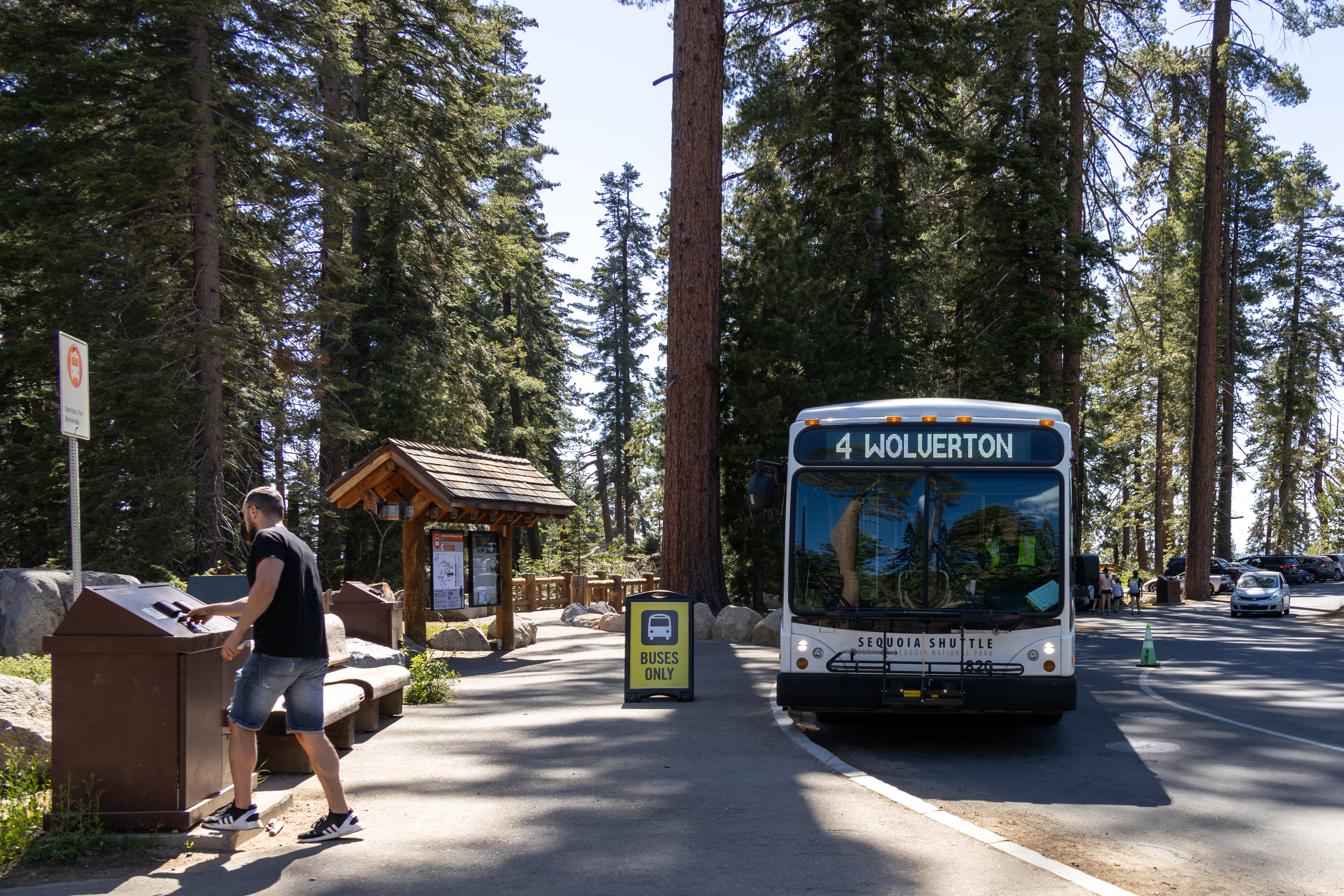 General Sherman Tree Main Trailhead Shuttle Stop