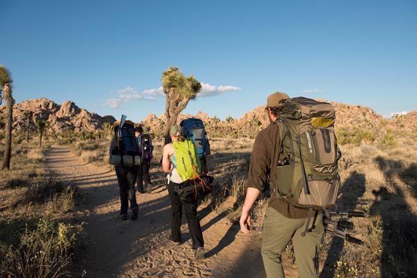 Four backpackers hiking down a dirt trail towards rocky outcrops on the horizon.