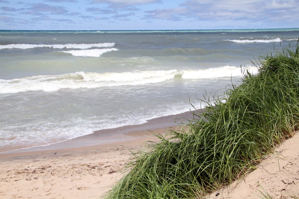 Waves breaking on the shore with a cluster of marram grass a few feet from the water.