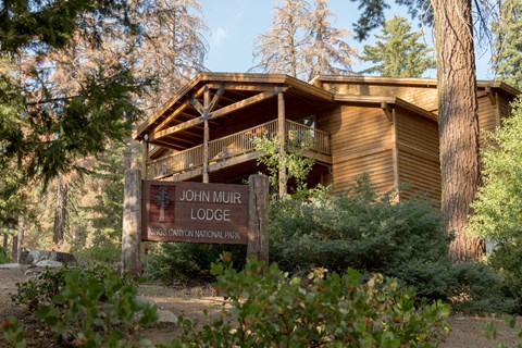 A large brown lodge building nestled between tall trees with green bushes in front