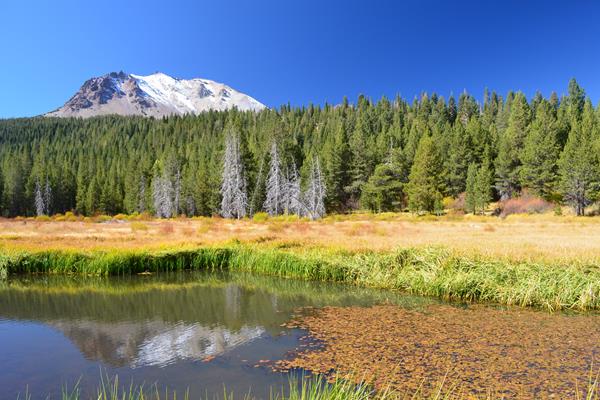 Fall colors in a meadow beneath a snow-dusted volcanic peak. Orange leaves float in a pool of water
