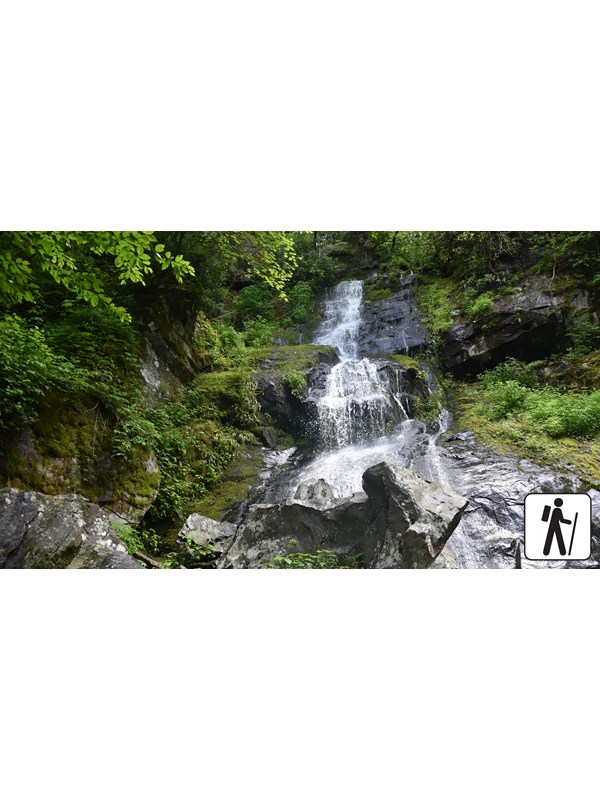 Waterfall that starts thin and fans out at the bottom. Boulders near base and vegetation on sides.