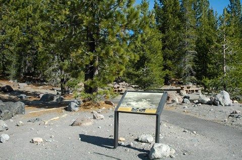 A wayside sign titled Devastated Area Trail beside a walkway in a rocky area with conifers