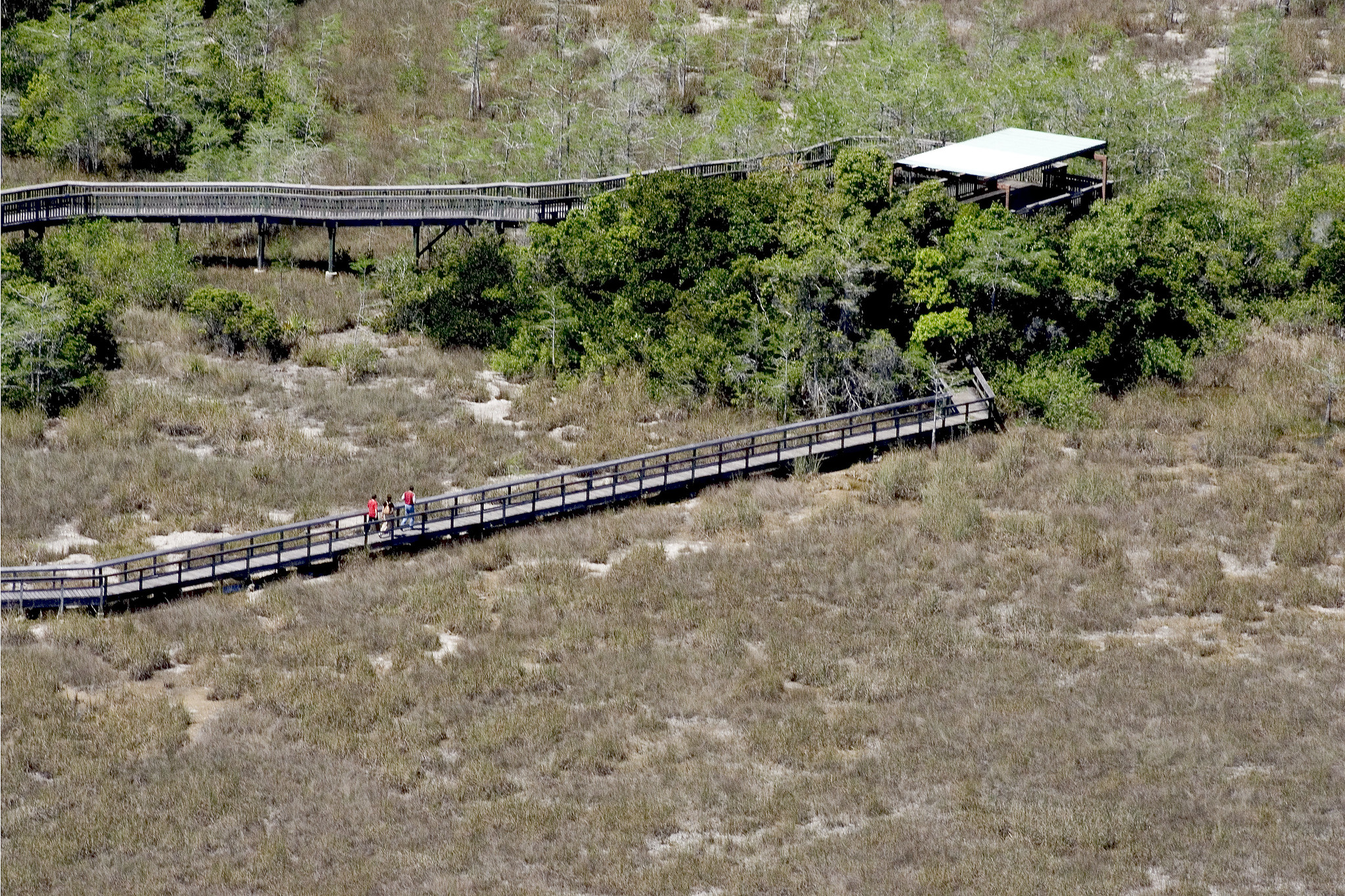 Pa-hay-okee Overlook