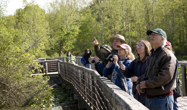 Uniformed ranger points upward, standing with several people on a wooden boardwalk, trees behind.