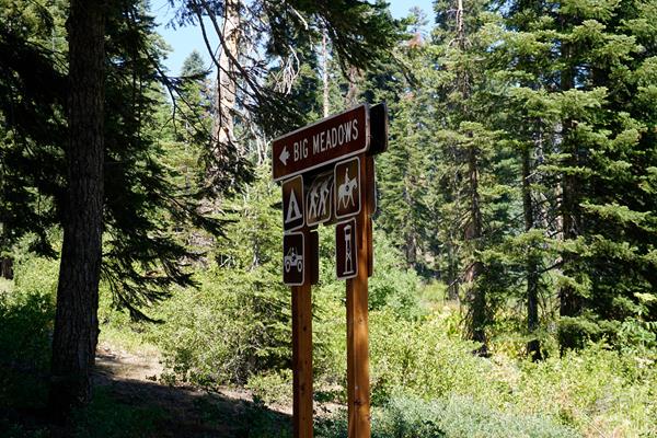A brown road sign stands in front of green bushes and trees