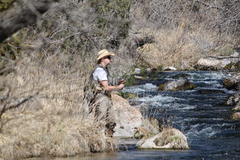A man holding a fishing pole stands along the edge of a stream.