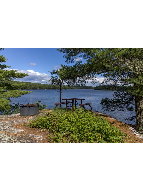Picnic table and metal fire pit next to tree, overlooking lake with forest in background.
