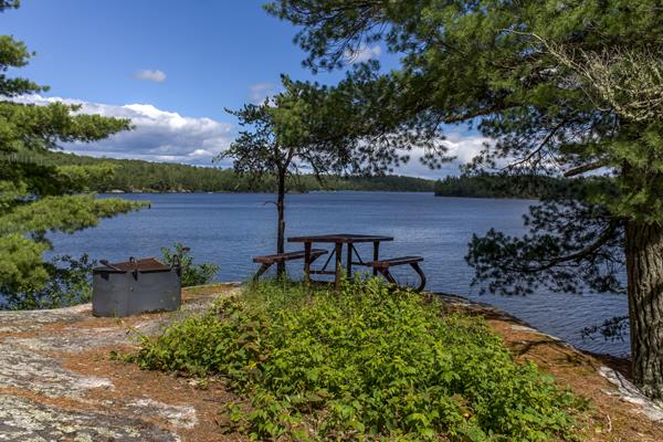 Picnic table and metal fire pit next to tree, overlooking lake with forest in background.