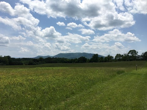 A mountain looms behind a grass field with mowed trails and a belt of trees.