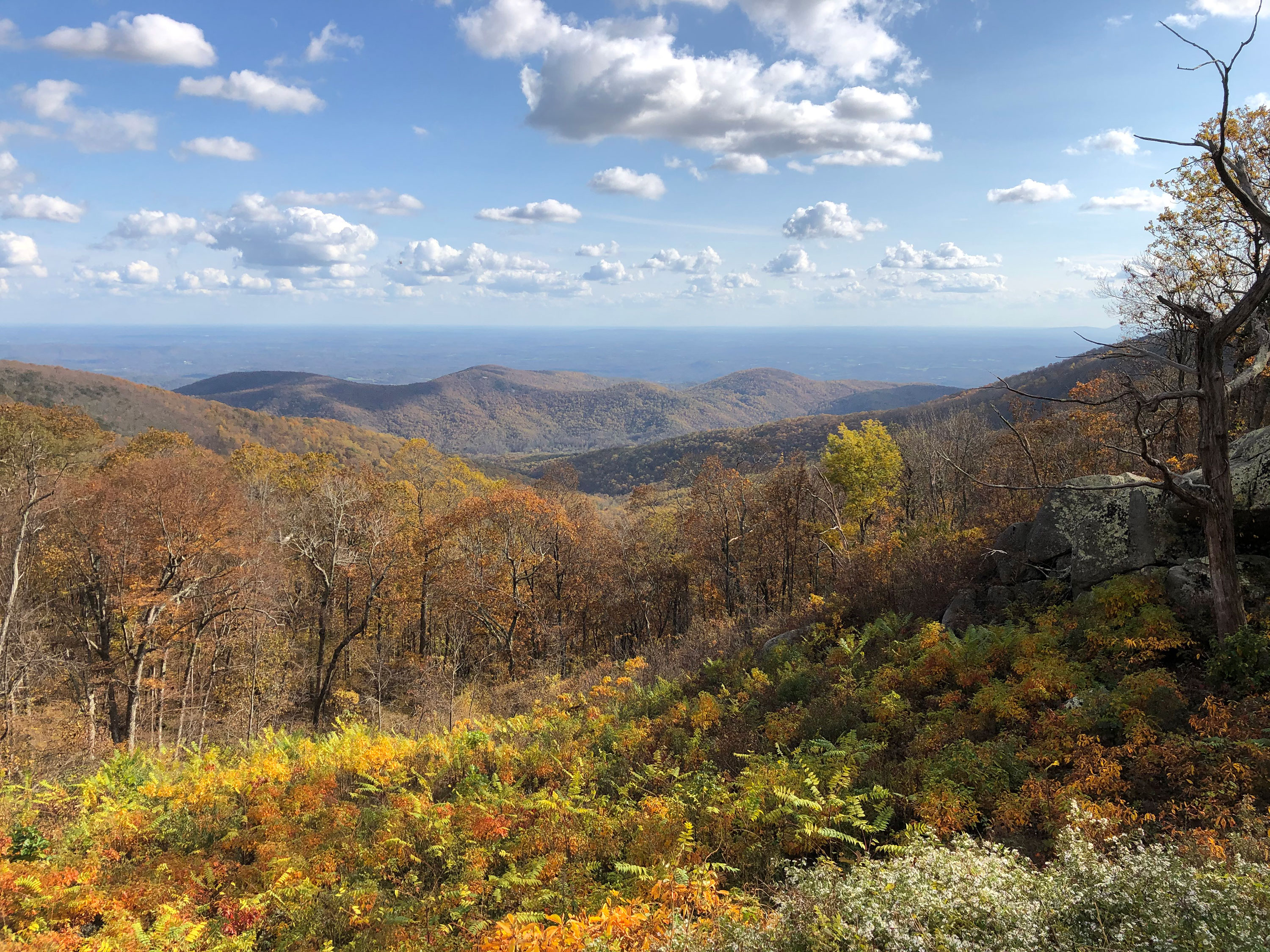Onion Mountain Overlook