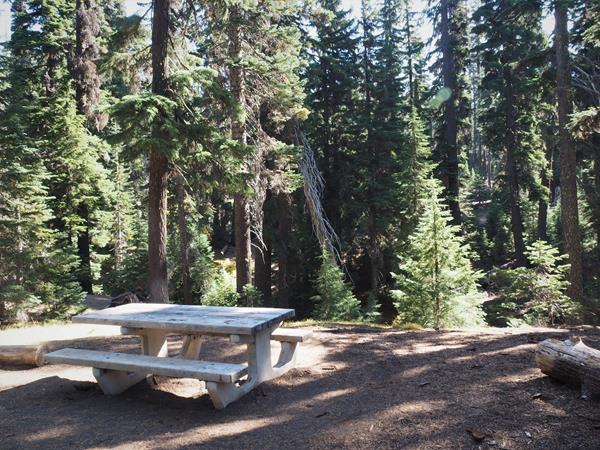 A concrete base picnic table with wood top and benches shadowed by a tall forest