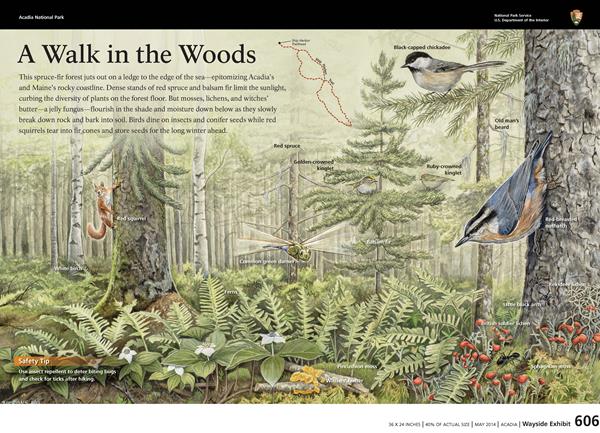 Image of an interpretive wayside entitled, "A Walk in the Woods"