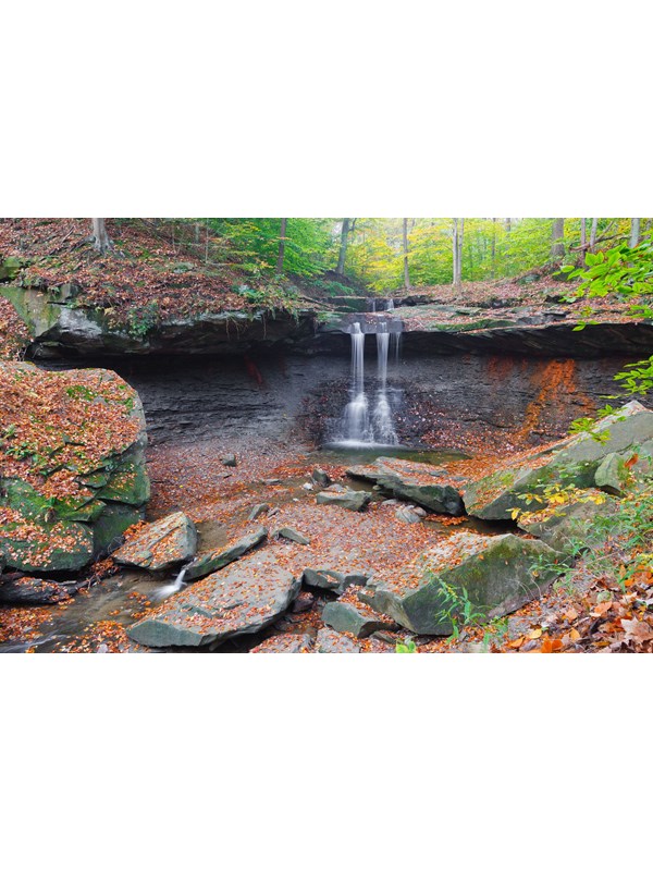 Water falls from a rim of gray rock, trees in the background; orange leaves dot the rocky hollow.