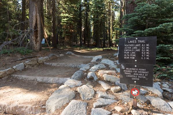 Dirt steps lead up to a metal sign beyond it are large trees