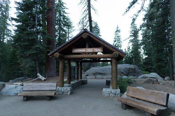 Two benches sit on opposite sides of a cement path. A wooden roof and pillars sits over the path
