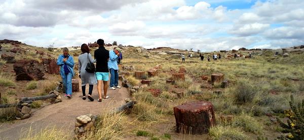 Many people walking along a trail under cloudy skies, surrounded by chunks of petrified wood.