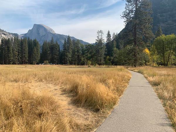 Cook's meadow in fall with brown vegetation and a paved trail with Half Dome in background