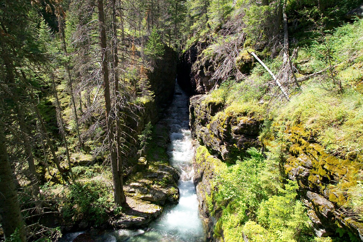 A deep, narrow gorge with a creek flowing through it