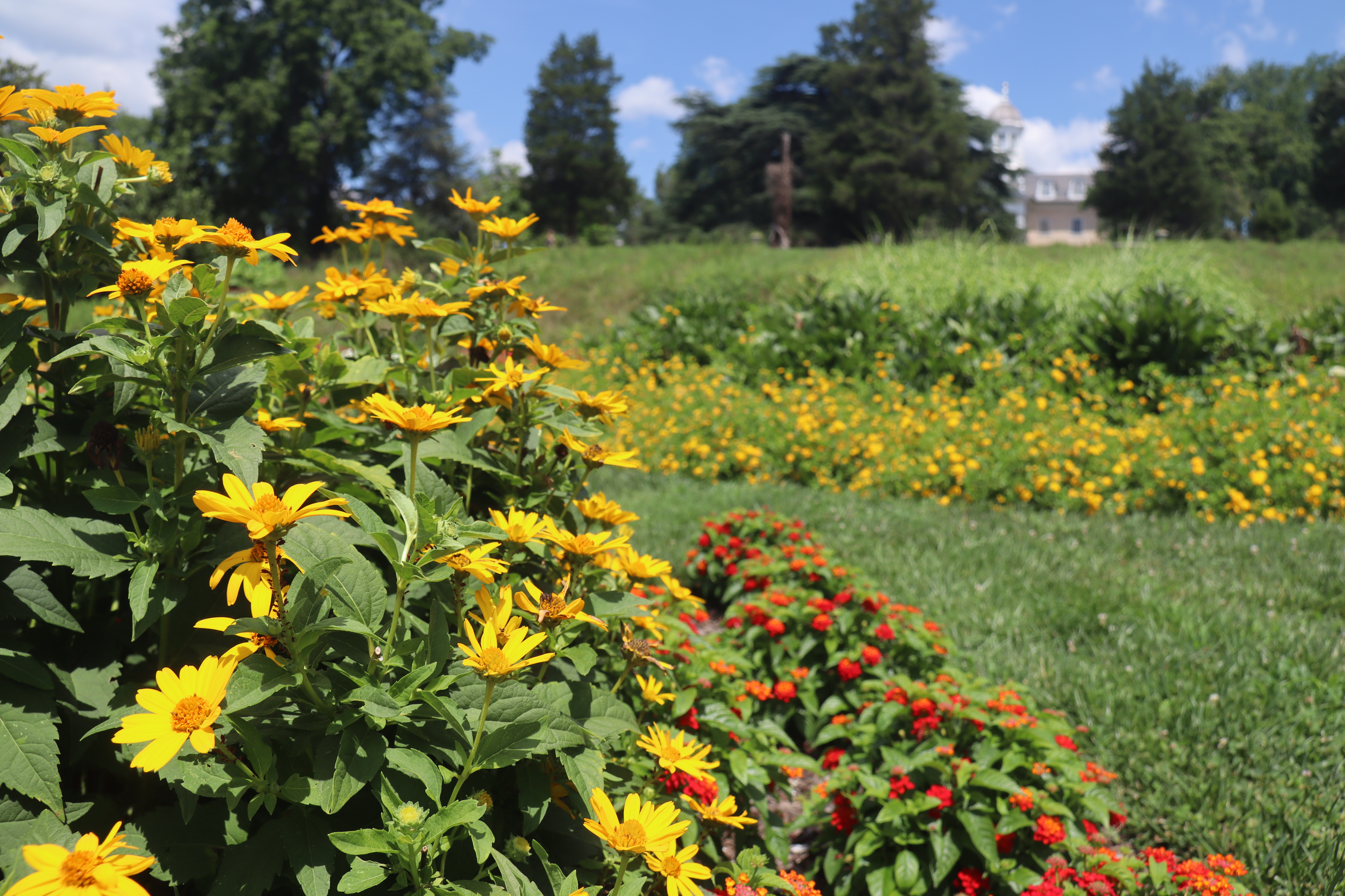 Gardens in bloom with the mansion behind