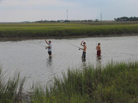 three anglers stand in marsh with poles waving