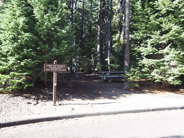A brown, wood trailhead sign with white lettering, and a picnic table in a lodgepole forest