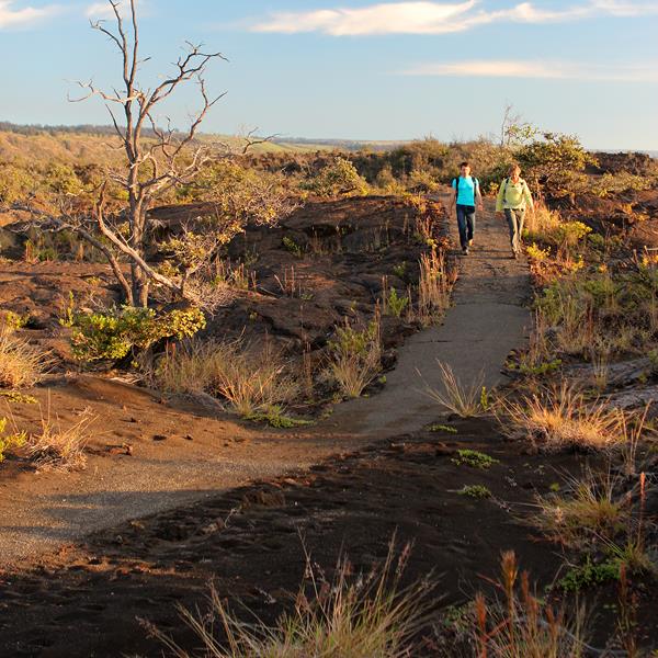 Two hikers along a path in a desert-like environment