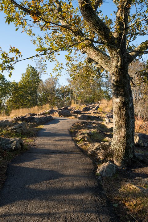 Portion of the trail at the peak of Big Kennesaw Mountain