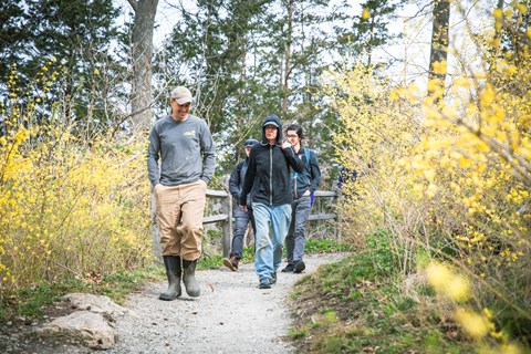A group walks along a gravel path in the middle of a forest with blooming bushes around.