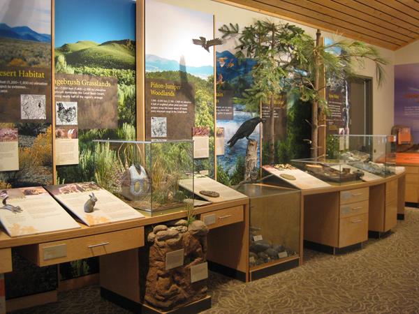 lifezone exhibits with model raven site on top