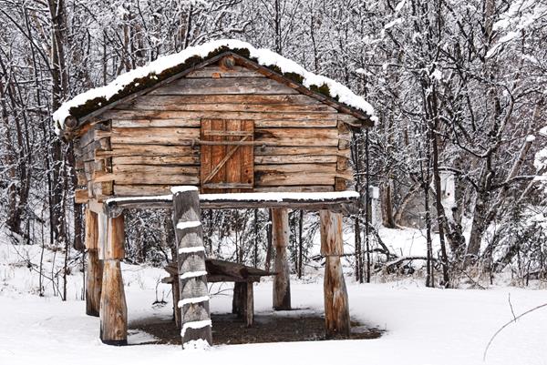a wooden structure with a small door on stilts in winter