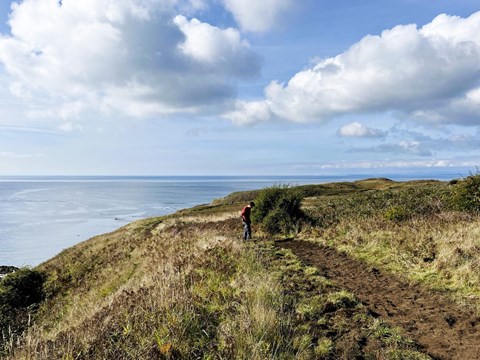 A hiker on a dirt trail along a hilly coastal bluff