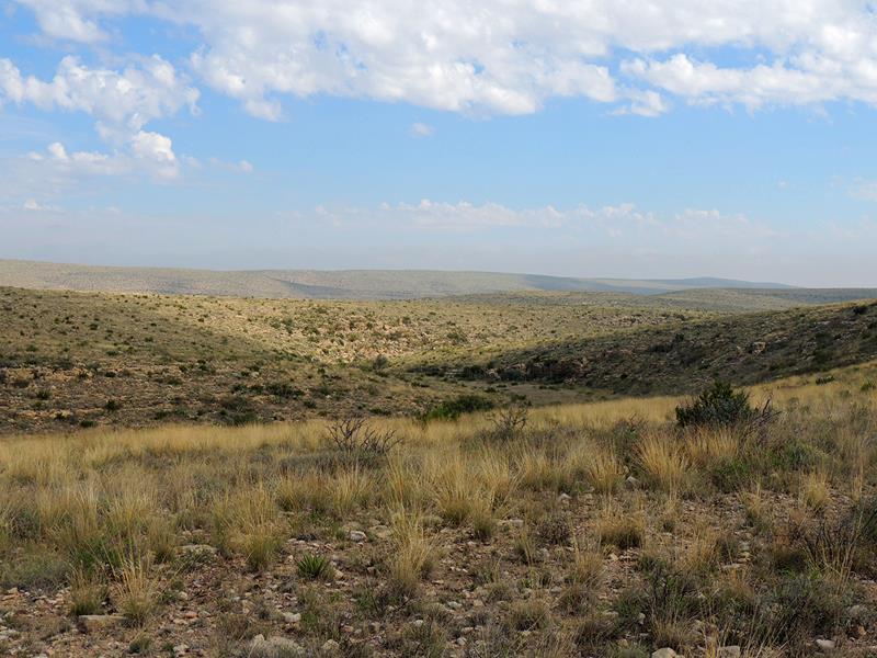 Guadalupe Ridge Trail (GRT)