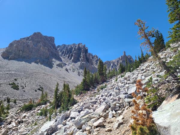 Doso Doyabi's jagged peaks in the background with loose rock and occasional trees in the foreground
