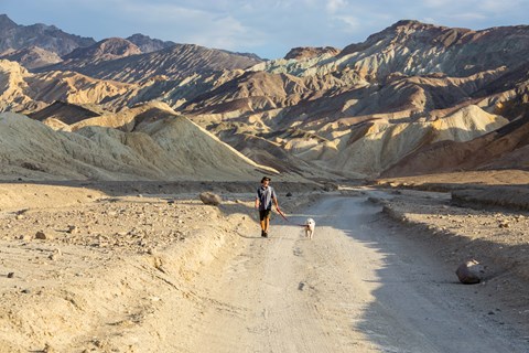 A man walks a dog on a leash down a dirt road in a desert setting.