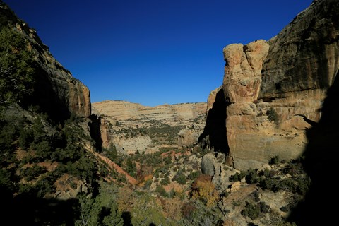 Tall yellow colored cliffs rise on both sides of a narrow valley.