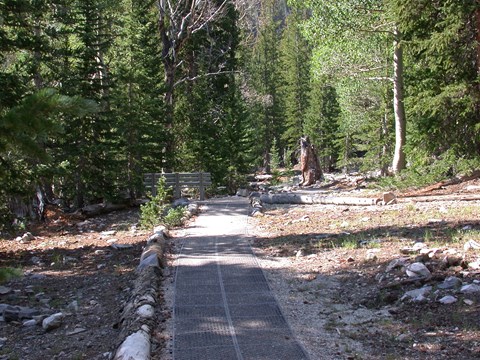 A wheelchair accessible with green trees around
